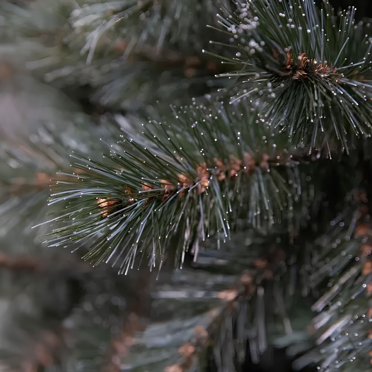 Kunstkerstboom Forest frosted, 90 cm Ø61 cm