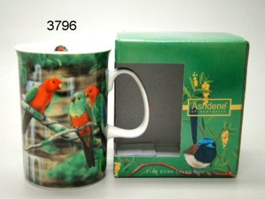 King parrots mok