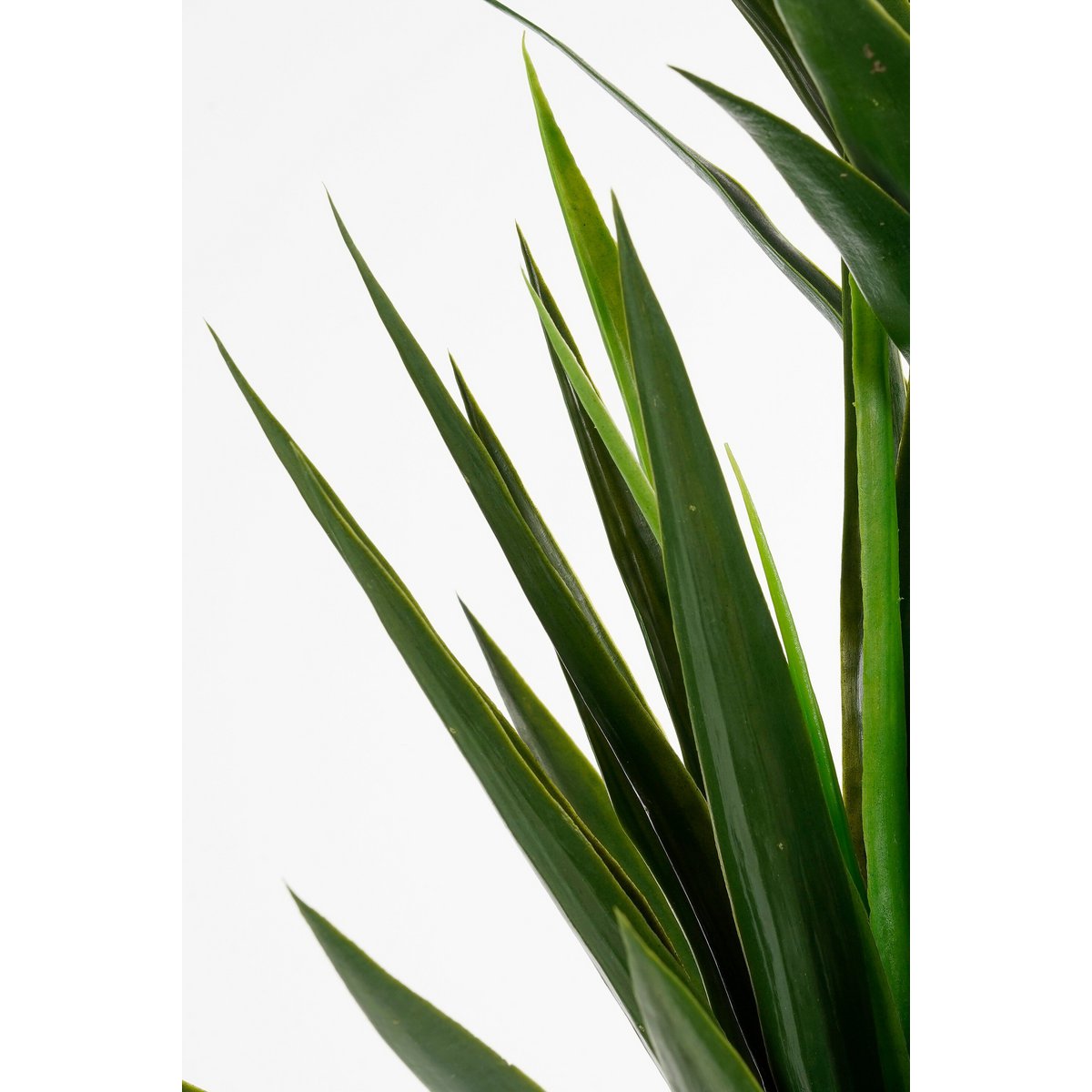 Yucca crème kunstplant, 160 cm