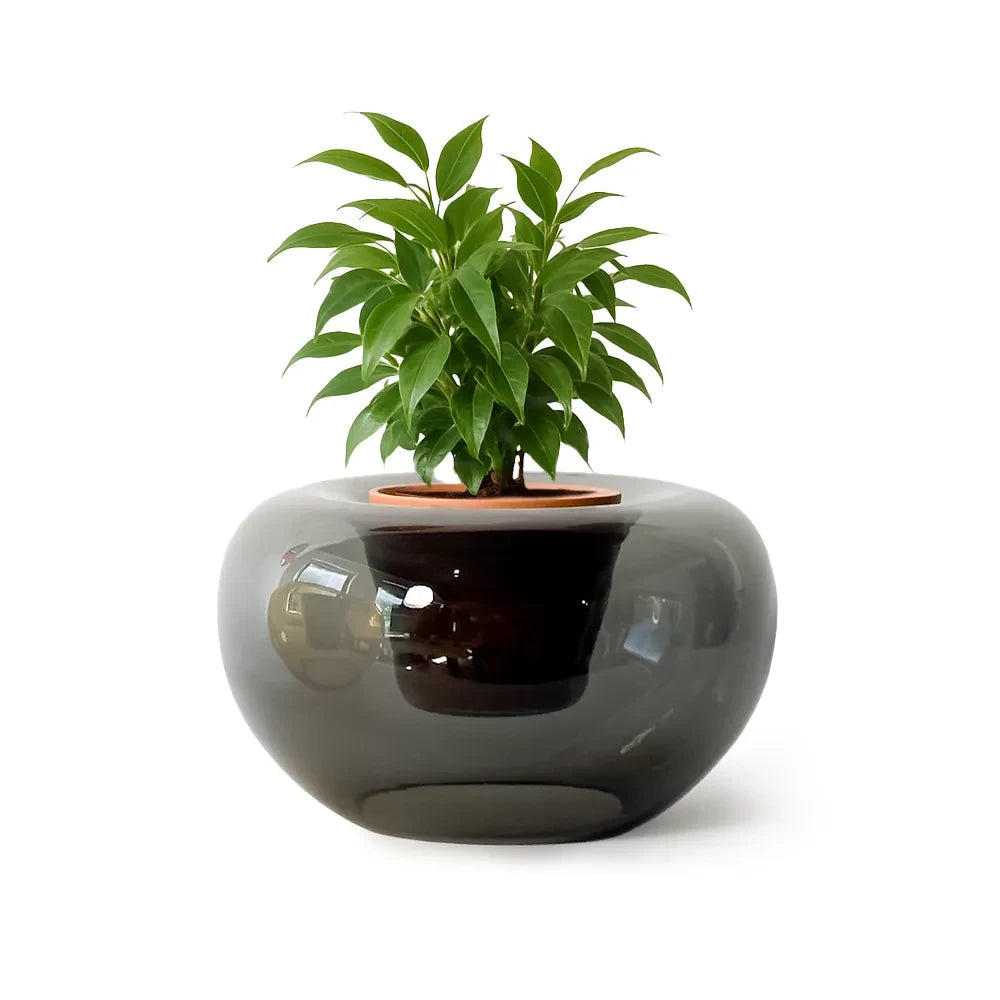 Potvase glazen plantenvaas met terracotta pot, Ø 35 cm