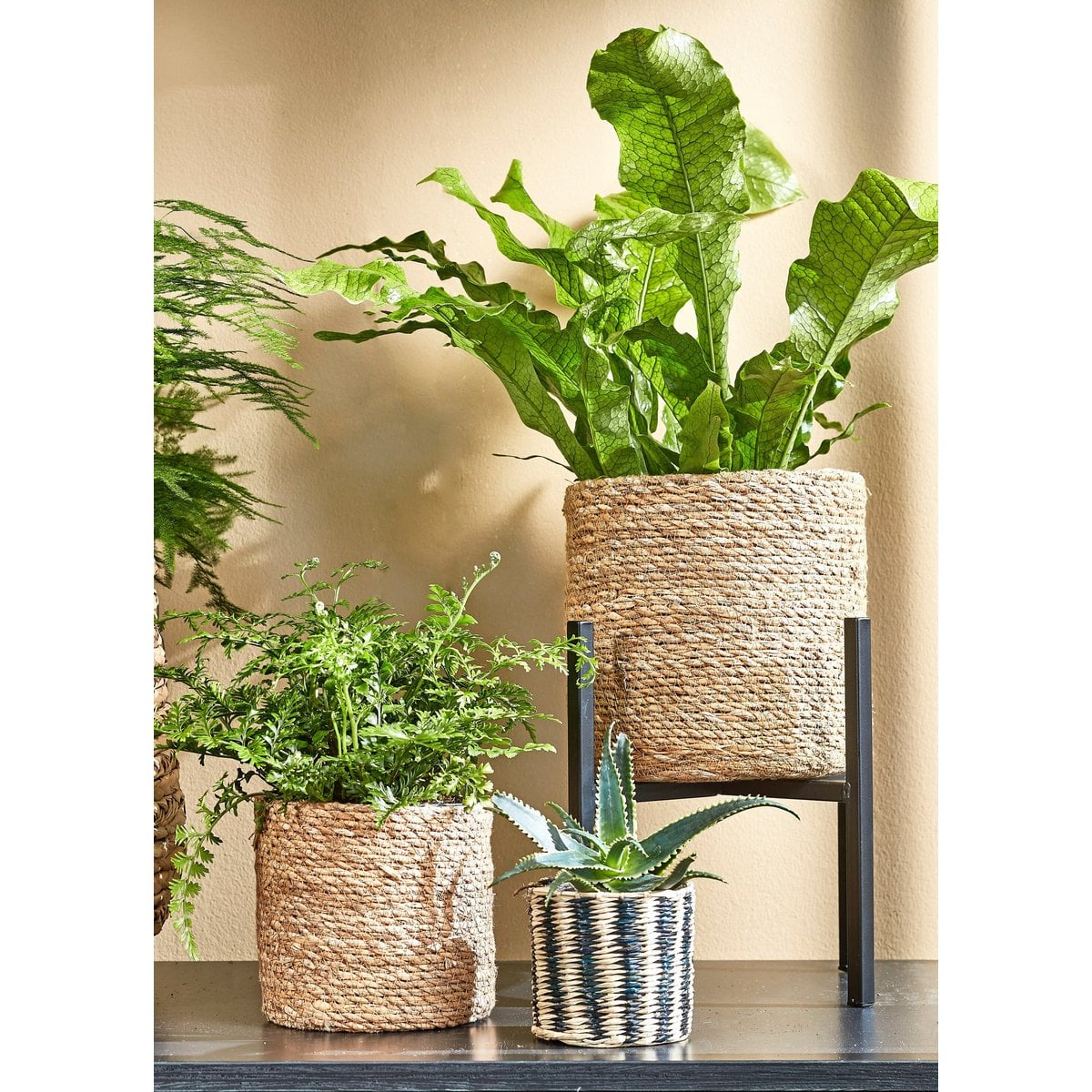 Ascot plantenstandaard, zwart, 37.5 × 37.5 × 39.5 cm