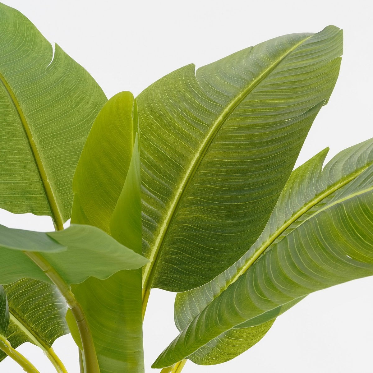 Bananenboom kunstplant, 155 cm