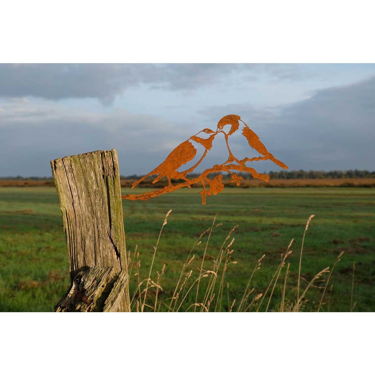 Roest metalen mees paartje wanddecoratie lucky birds