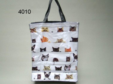 Poes boodschappentas