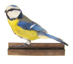 Pimpelmees houten decoratie, 10 cm, staand ornament