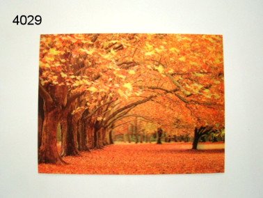 Herfstbos 3D poster, 30 x 40 cm