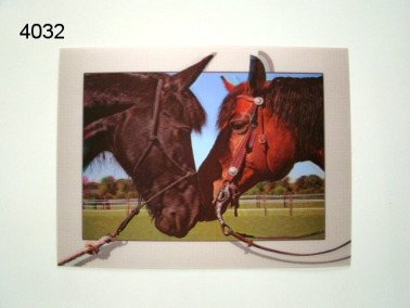 Paardenhoofden 3D poster, 30 x 40 cm