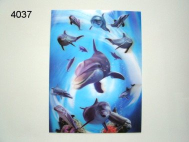 Dolfijn 3D poster, 30 x 40 cm