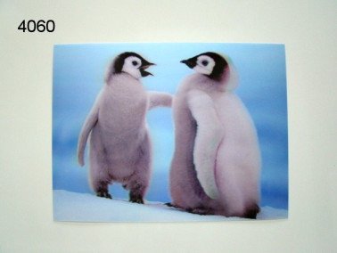 Pinguinbabies 3D poster, 30 x 40 cm