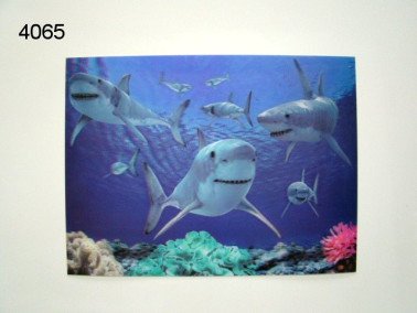Haai 3D poster, 30 x 40 cm