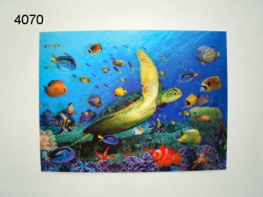 Zeeschildpad met vis 3D poster, 30 x 40 cm