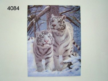 Tijger wit 3D poster, 30 x 40 cm