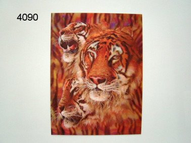 Tijger 3D poster, 30 x 40 cm