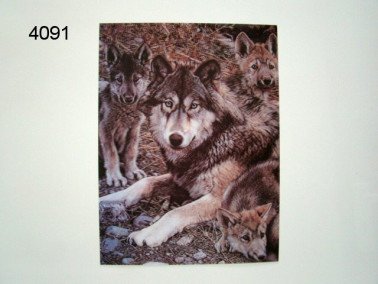 Wolf met pups 3D poster, 30 x 40 cm
