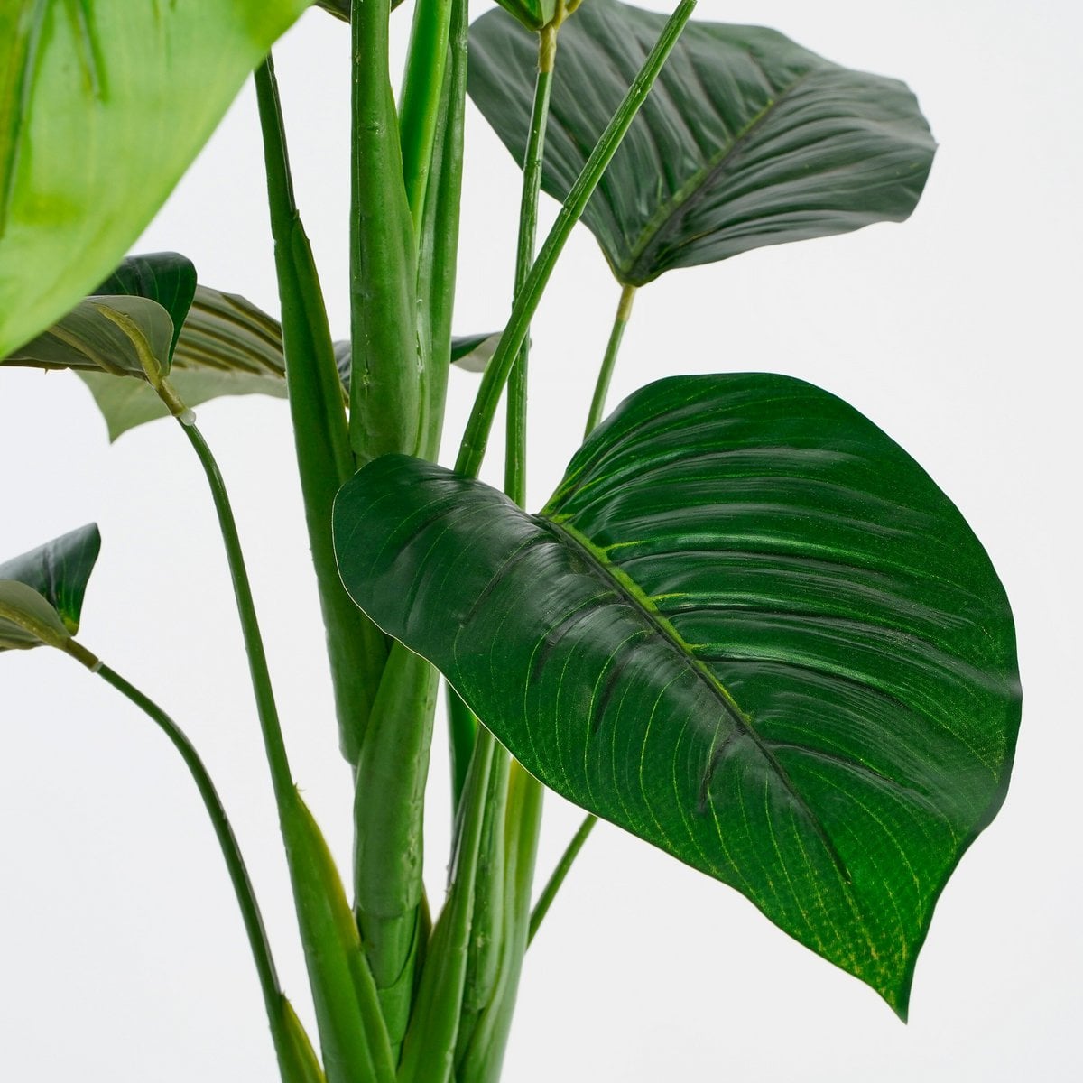 Philodendron kunstplant, 100 cm