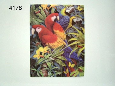 Papegaai 3D poster, 30 x 40 cm