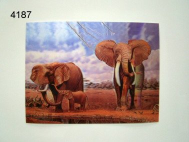 Olifant 3D poster, 30 x 40 cm