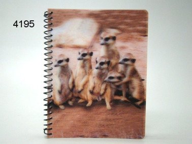 Stokstaartjes notitieboekje, hout