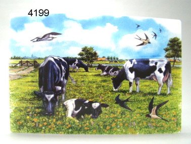 Koe placemat