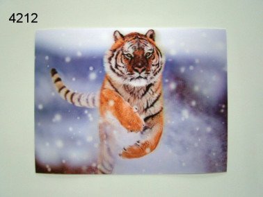 Tijger 3D poster, 30 x 40 cm