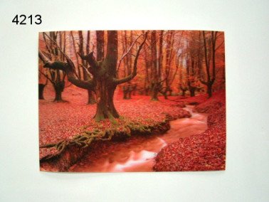 Herfstbos 3D poster, 30 x 40 cm
