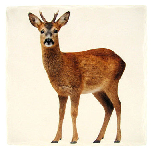 Ree tafelonderzetter, steen, 15 x 15 cm