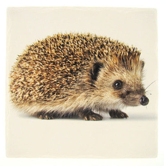 Egel tafelonderzetter, steen, 15 x 15 cm