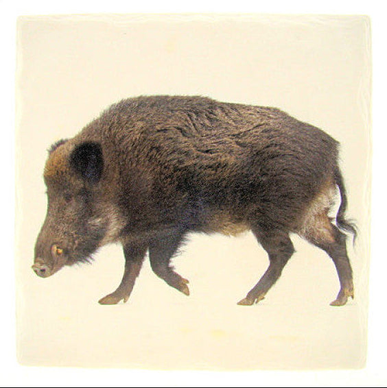 Wild zwijn tafelonderzetter, steen, 15 x 15 cm