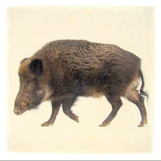 Wild zwijn tafelonderzetter, steen, 15 x 15 cm