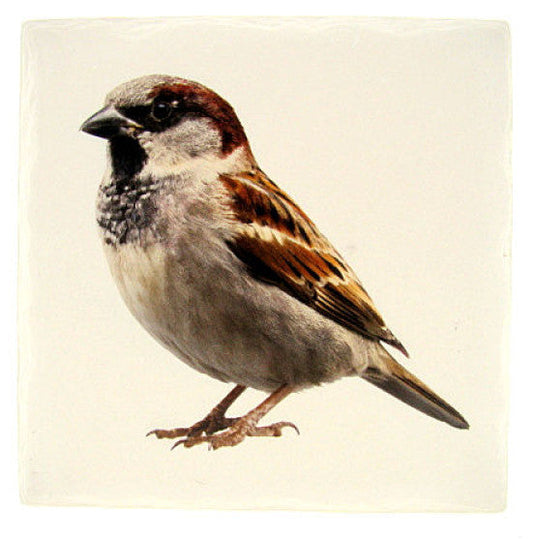 Mus tafelonderzetter, steen, 15 x 15 cm