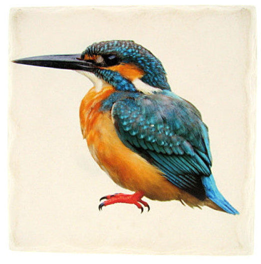 IJsvogel tafelonderzetter, steen, 15 x 15 cm