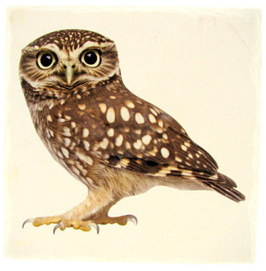 Steenuil tafelonderzetter, steen, 15 x 15 cm