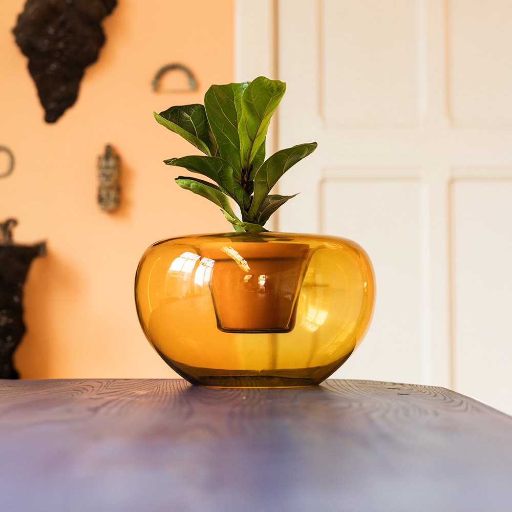 Potvase glazen plantenvaas met terracotta pot, Ø 35 cm