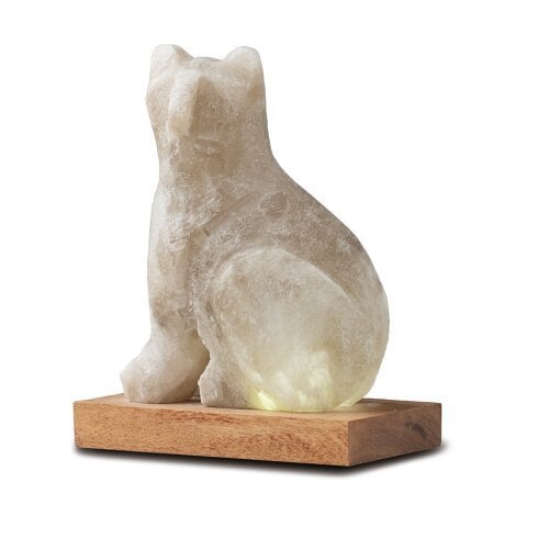 Zoutkristal kat lamp USB Grey Line met houten voet