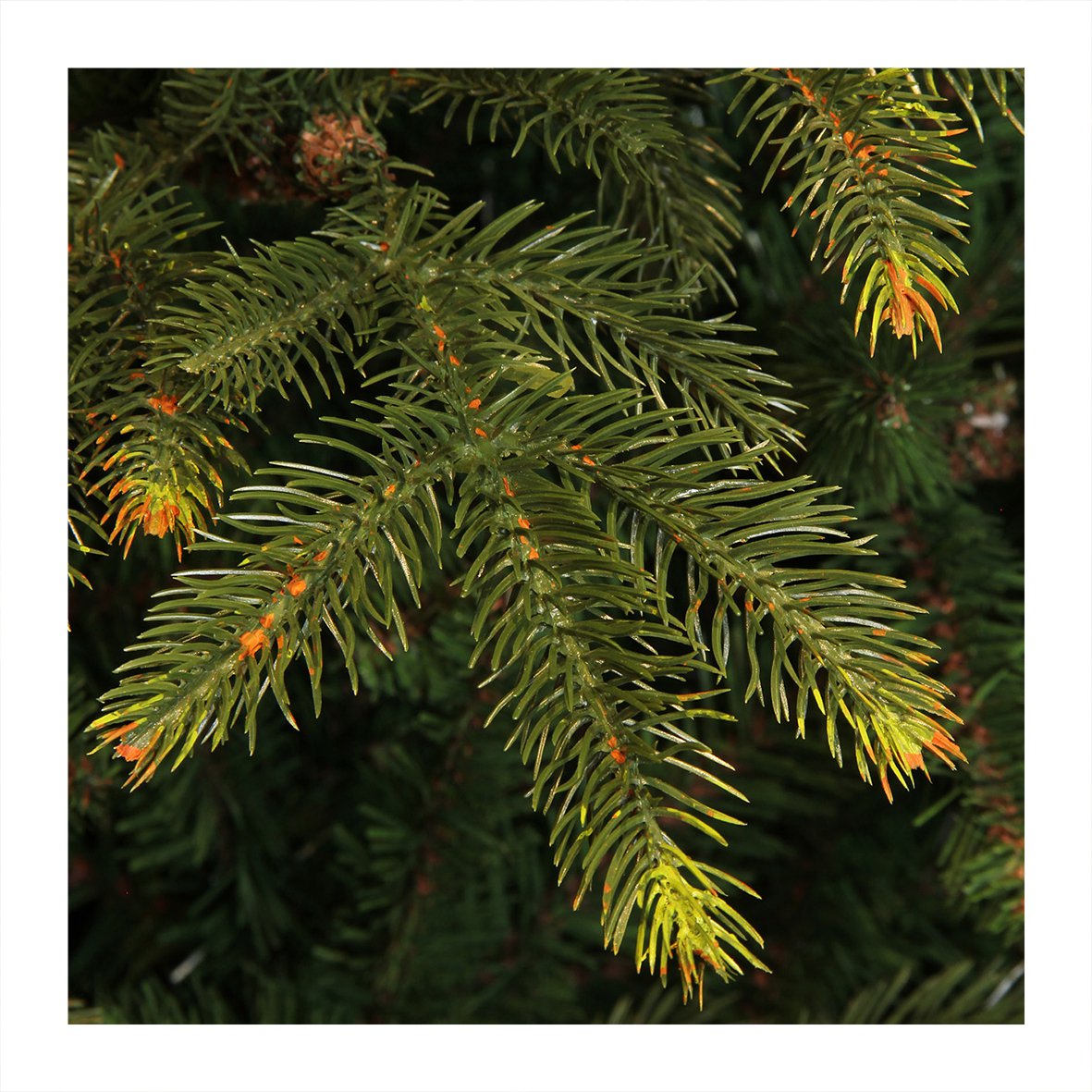 Vancouver kunstkerstboom, 215 cm