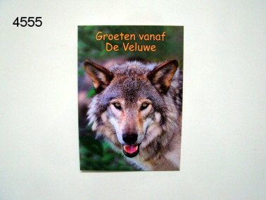 Wolf Veluwe ansichtkaart