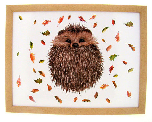 Egel schootkussen, 44 × 34 × 8 cm