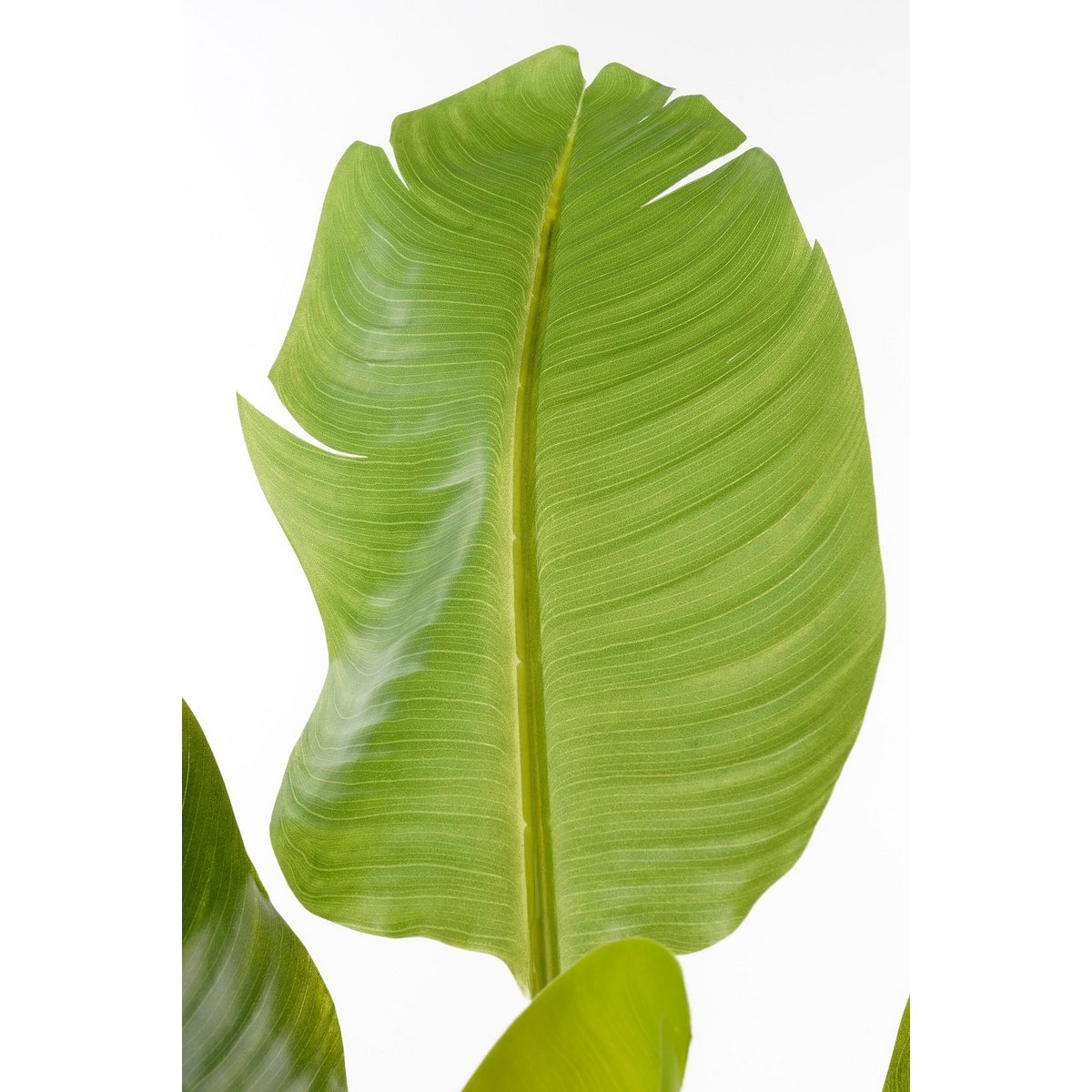 Bananenboom kunstplant, 120 cm