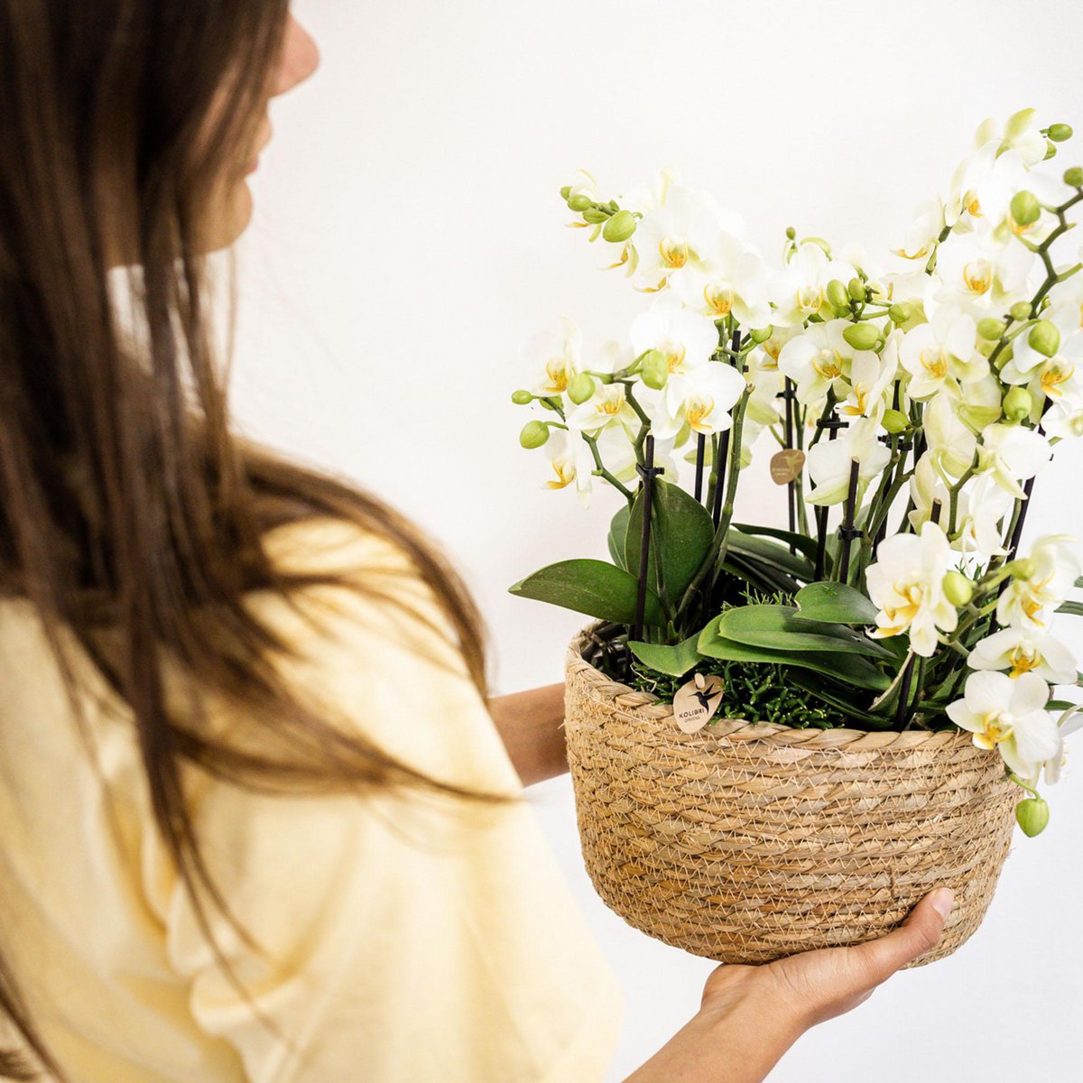 Inlay met waterreservoir voor orchideeënschaal Ø 25 cm, Field Bouquet