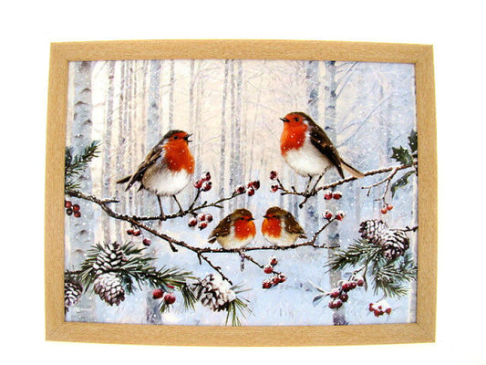 Roodborstjes schootkussen, 44 × 33 cm