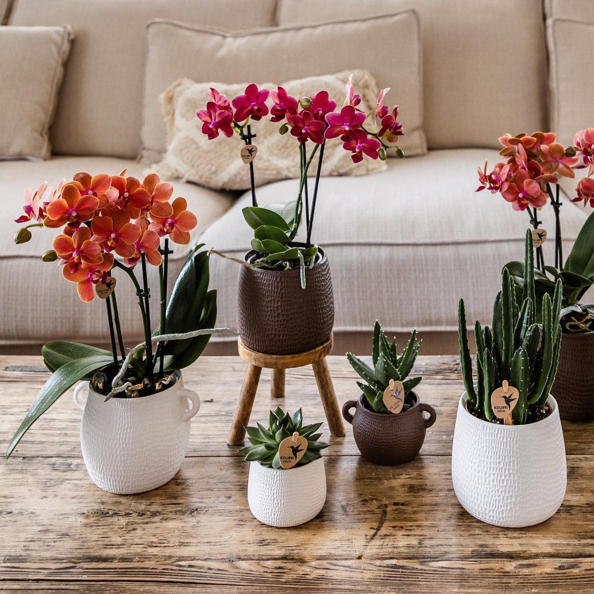 Houten plantenstandaard, Ø 12 cm, 10,5 cm hoog