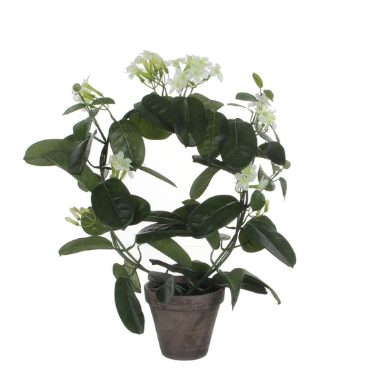 Stephanotis kunstplant wit, 50 cm