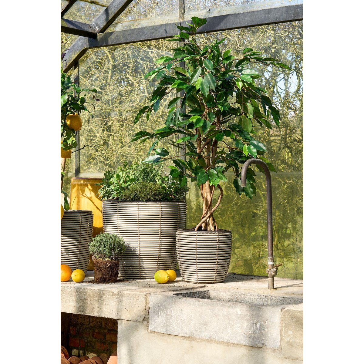 Ficus kunstplant, 110 cm