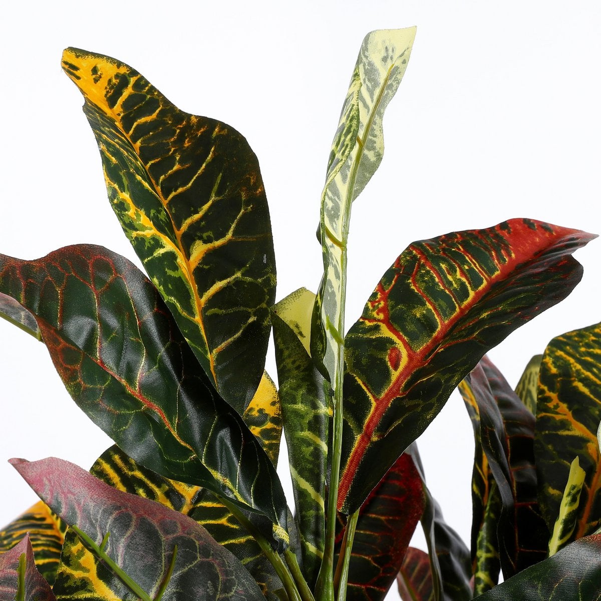 Croton kunstplant, 73 cm