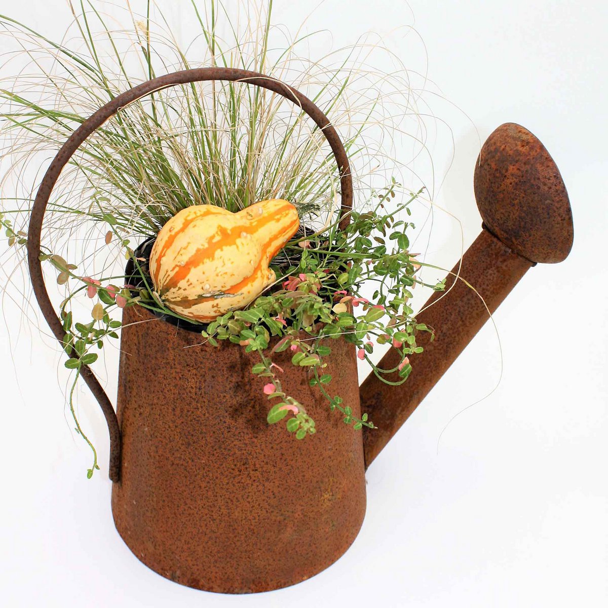 Decoratieve gieter in roestkleur
