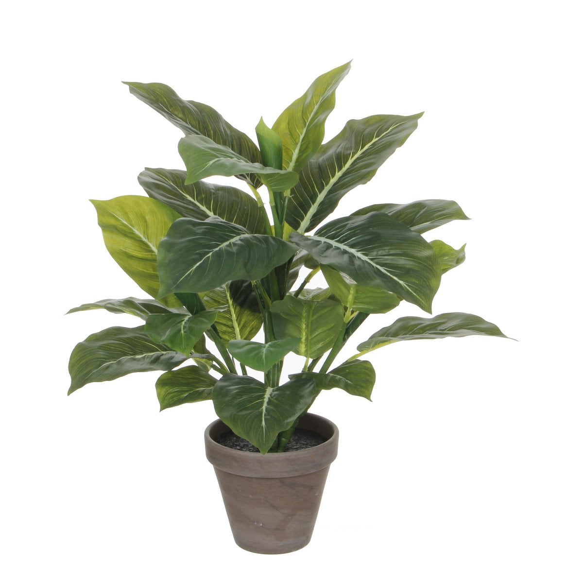 Evergreen kunstplant, 49 cm