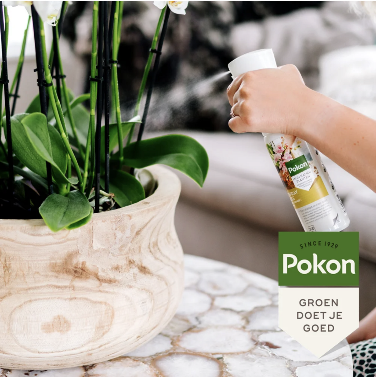 Pokon Powerspray orchidee, 300 ml