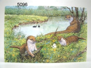 Otter placemat