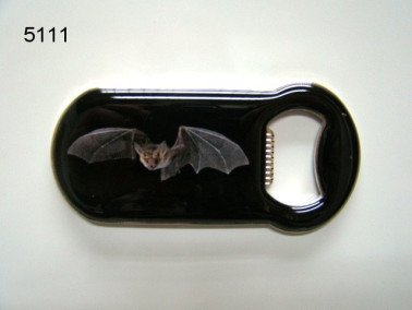 Vleermuis flesopener
