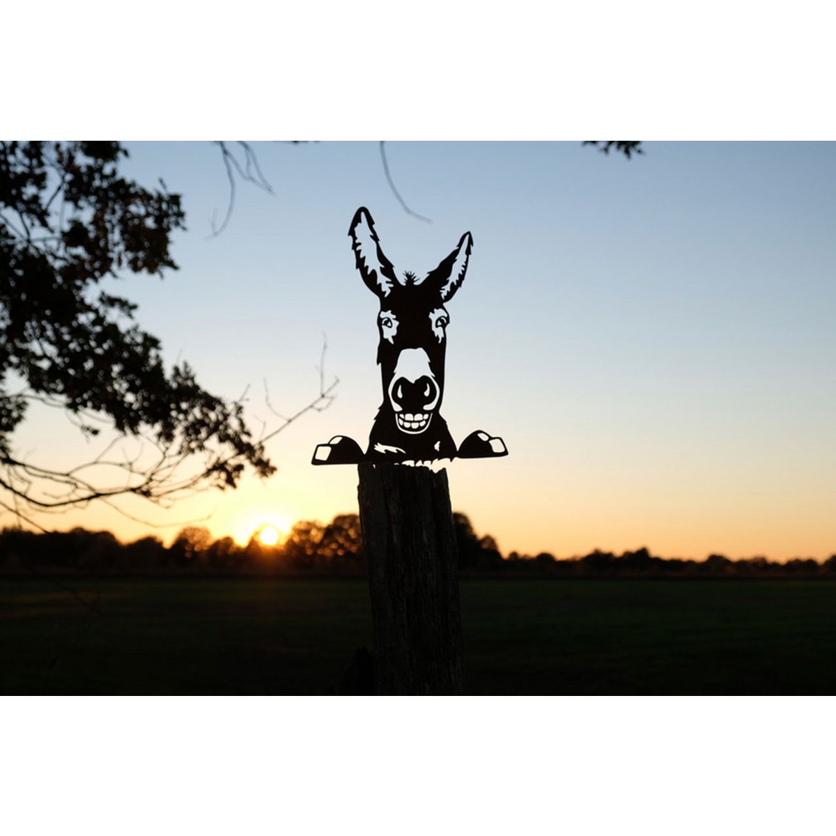 Peekaboo ezel metalen wanddecoratie zwart
